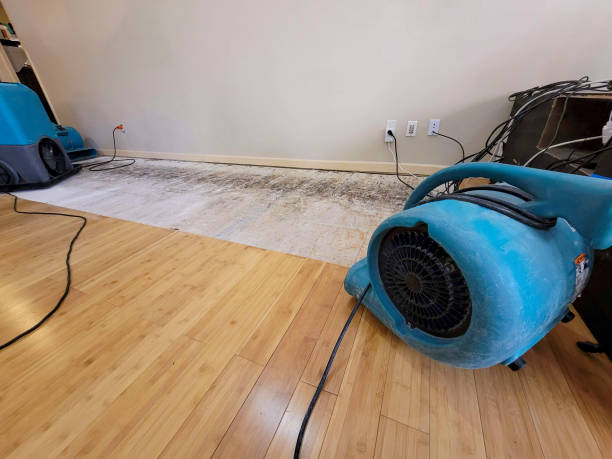 Professional Water Damage Repair technician working in Lemon Springs, NC